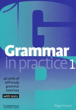 GRAMMAR IN PRACTICE 1