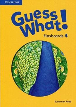 GUESS WHAT! 4 FLASHCARDS(90)