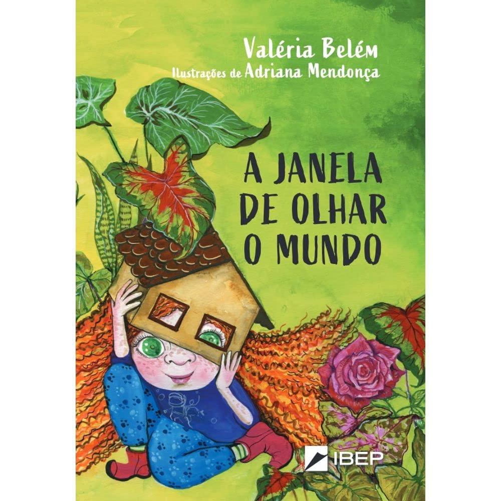 A JANELA DE OLHAR O MUNDO